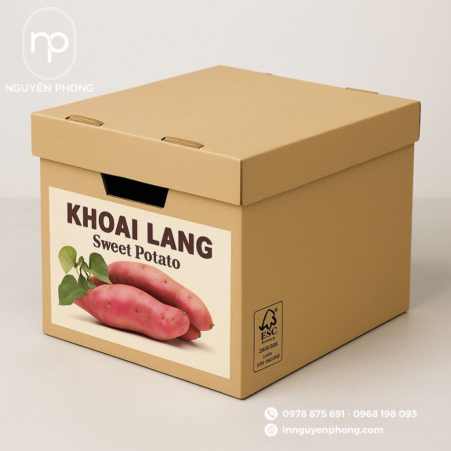 in-thung-carton-dung-khai-lang-xuat-khau-gia-re